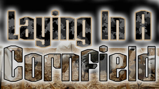Go Watch The Laying In A Cornfield Video